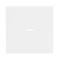 Busch-Jaeger Wippe weiß, Retail