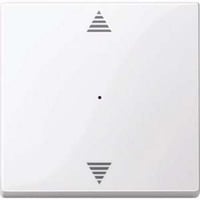 4042811164843 - Wippe einteilige mit Pfeilsymbol für System M Typ MEG5215-0325