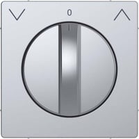 Merten Zentralplatte Edelstahl lackiert aus Thermoplast edelstahl, Retail