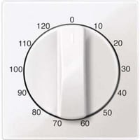 Merten Zentralplatte für Schalter-Einsatz Typ 567519, glänzend, aus Thermoplast weiß (glänzend), Retail