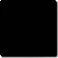 4011395873106 - BJ UPWG Allwetter Wippe Aus  2106-35 Wechsel anthrazit