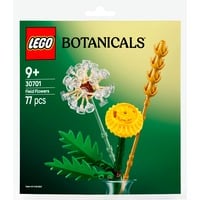 LEGO 30701 Botanicals Feldblumen, Konstruktionsspielzeug