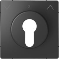 Merten Zentralplatte für genormte Profil-Halbzylinderschlösser mit 40 mm Länge lackiert anthrazit, Retail