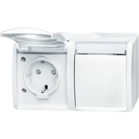 Busch-Jaeger Steckdose 20/2 Einbau-Wandgerät 54 weiß, Retail