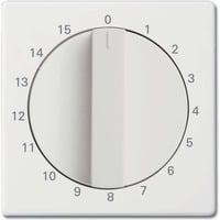 Busch-Jaeger Zentralscheibe stud-ws/mt, Rahmen weiß, Retail