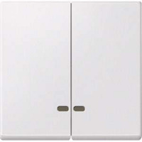 4042811148973 - Doppelwippe mit Kontrollfenster für Serien- und Doppeltaster-Einsatz zweiteilig