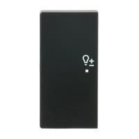 Busch-Jaeger Wippe matt future linear schwarz, Retail