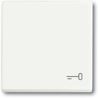 Busch-Jaeger Wippe mit Aufdruck weiß, Retail