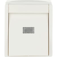 Busch-Jaeger Wipptaster mit Beleuchtung weiß, Retail