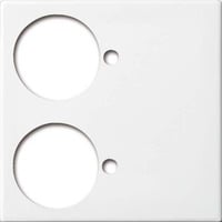 Busch-Jaeger Zentralscheibe, Rahmen weiß, Retail