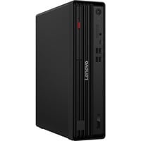 ThinkCentre M70s Gen 6 (12YK003EGE), PC-System