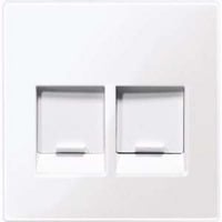 4042811151911 - Zentralplatte zweifach Anschluss für Modular-Jack