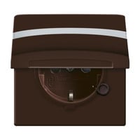 Busch-Jaeger Schutzkontakt-Steckdoseneinsatz mit erhöhtem Berührungsschutz braun, Retail