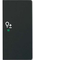 Busch-Jaeger Wippe future linear schwarz, Retail