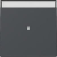 Gira Wippe Kontrollfunktion anthrazit, Retail