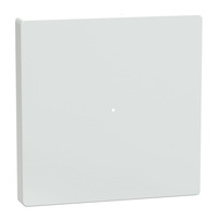 4042811200435 - Wippe für Taster-Modul einteilig mit Kontrollfenster glänzende Oberfläche Kunststoff