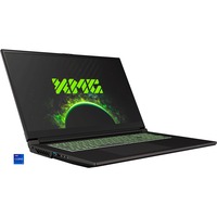 FOCUS 17 E23 (10506167), Gaming-Notebook