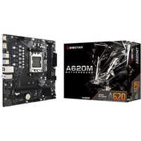 Biostar A620MT, Mainboard schwarz