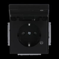 Busch-Jaeger Schutzkontakt-Steckdosen-Einsatz Typ F 20 EUKNBL-885 schwarz, Retail