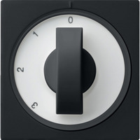 Gira Abdeckung mit Knebel für Dreistufenschalter matt lackiert Nullstellung schwarz, Retail