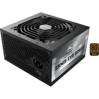 RAIJINTEK ERMIS EVO 750B, PC-Netzteil schwarz, 1x High Power GPU, 2x PCIe, 750 Watt