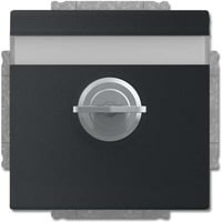 Busch-Jaeger Schutzkontakt-Steckdose Einsatz 20 EUKNBSL-885 schwarz, Retail