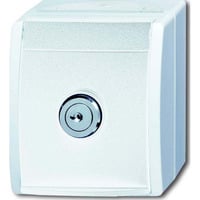 Busch-Jaeger Schutzkontakt-Steckdose mit Schloss Typ F CEE 7/3 weiß, Retail