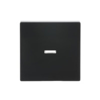 Busch-Jaeger Wippe anthrazit, Retail