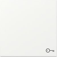 Gira Wippe mit Symbol Tür weiß, Retail