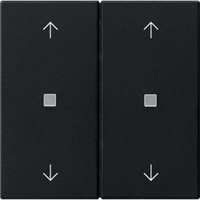 Gira Wippe zweifach mit Pfeilsymbolen und Kontrollfenster schwarz, Retail