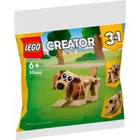 LEGO 30666 Creator 3-in-1 Geschenkset mit Tieren, Konstruktionsspielzeug 