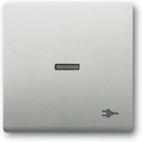 Busch-Jaeger Wippe mit Aufdruck edelstahl, Retail