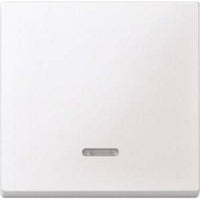 4042811075934 - Wippe Kontrollfenster für Schalter- und Tastereinsatz zweiteilige Wippe Thermoplast