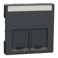 Merten Zentralplatte zweifach anthrazit, Retail