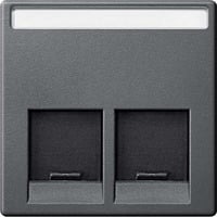 Merten Zentralplatte zweifach anthrazit, Retail