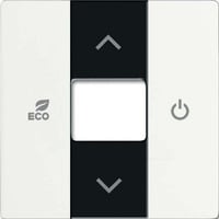 4011395205648 - BJ Zentralscheibe RTR matt 6235-884 sws Busch-free@home future linear