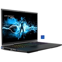 Medion ERAZER Beast X40E (MD62619), Gaming-Notebook schwarz, Windows 11 Home 64-Bit, 43.2 cm (17 Zoll) & 240 Hz Display, 2 TB SSD