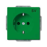 Busch-Jaeger Schutzkontakt Steckdosen Einsatz grün, Retail