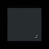 Busch-Jaeger Wippe geschlossen mit Symbol, Schalter schwarz, Retail