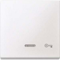 Merten Wippe Kontrollfenster Fenster Wippe mit Aufdruck Schlüssel weiß, Retail