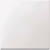 4011281894154 - Wippe für Wechselschalter Kreuzschalter und Taster einteilige Ausführung Thermoplast