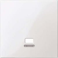 Merten Zentralplatte Zugschalter polarweiß glänzend mit Kontrollfenster MEG3380-0319 weiß (glänzend), Retail