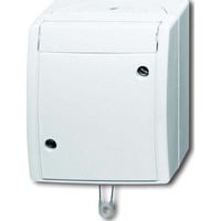 Busch-Jaeger Busch-J. Zugwechselschalter 2610/6 W-54 weiß, Retail