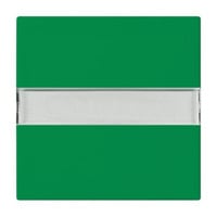 Busch-Jaeger Wippe 2510 NLI-13-914 grün, Retail