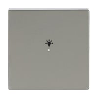 Busch-Jaeger Wippe Edelstahl edelstahl, Retail