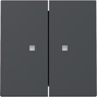Gira Wippe zweifach mit Kontrollfenster anthrazit, Retail