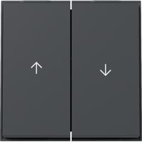 Gira Wippe zweifach mit zwei Pfeilsymbolen anthrazit, Retail