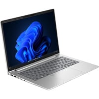 HP EliteBook 6 G2a (E02FQET), Notebook silber, AMD Ryzen 7 PRO 250, AMD Radeon 780M, 32 GB LPDDR5X, 1 TB (1 TB SSD), Windows 11 Pro