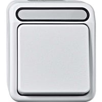 Merten Wechseltaster mit Neutralleiter-Klemme, einpolig, Aufputz, Wippe, 250 Volt, 10 Ampere hellgrau, Retail