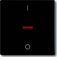 Busch-Jaeger Kontrollwippe mit Aufdruck Ein-Aus-Schalter matt schwarz, Retail